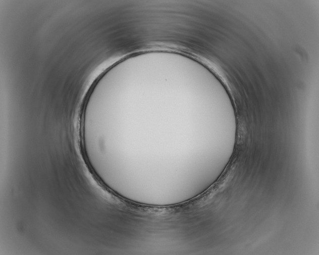X0000113081003200909250945