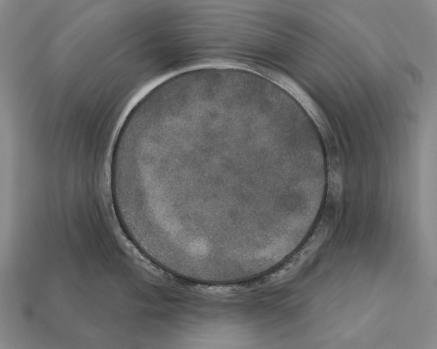 X0000113081004200909250945
