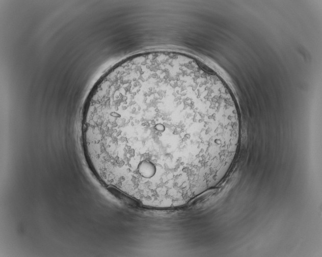 X0000113081005200909250945