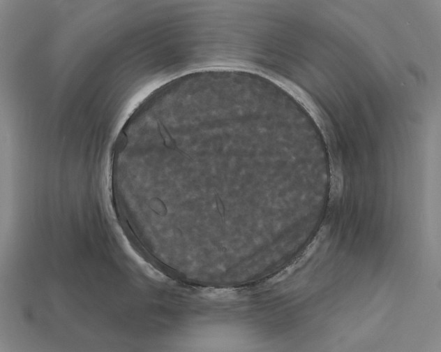 X0000113081006200909250945