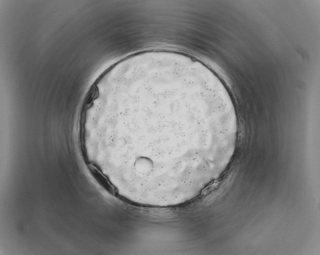 X0000113081007200909250945