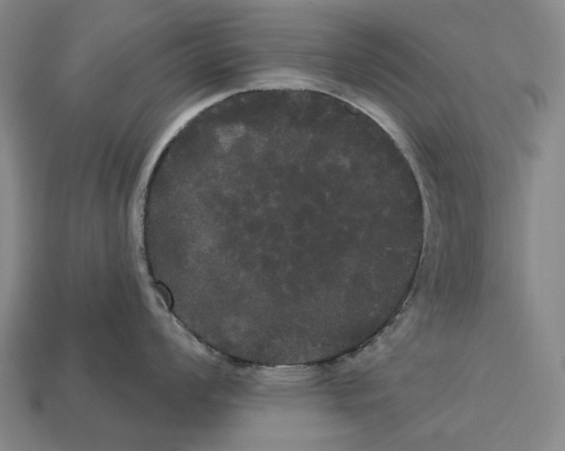 X0000113081008200909250945
