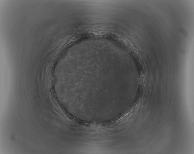X0000113081009200909250945