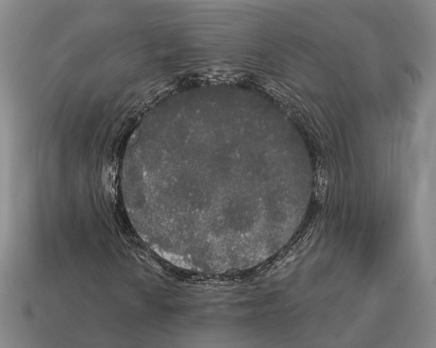 X0000113081010200909250945