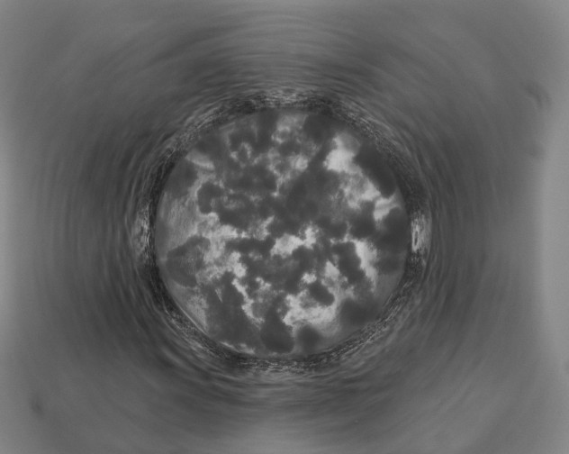 X0000113081011200909250945
