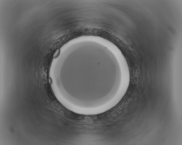 X0000113081013200909250945