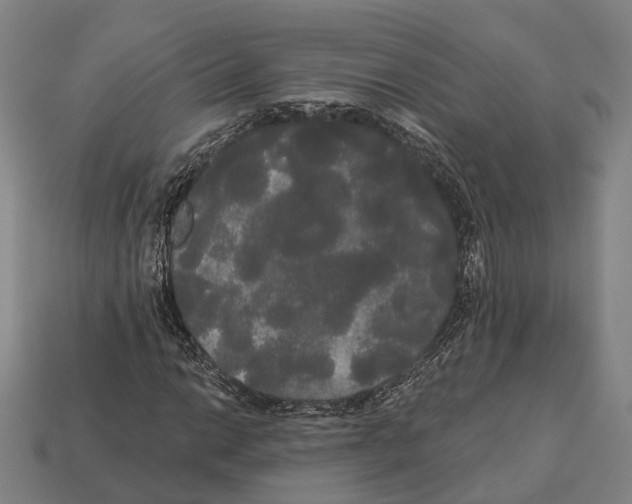X0000113081014200909250945