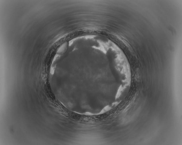 X0000113081015200909250945