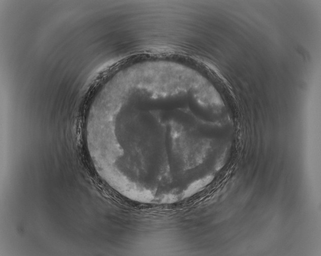 X0000113081016200909250945