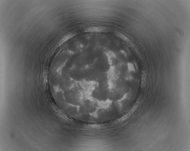 X0000113081017200909250945