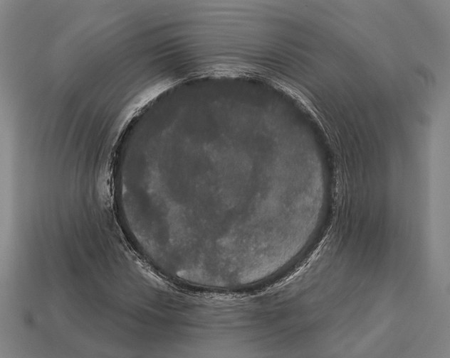 X0000113081018200909250945
