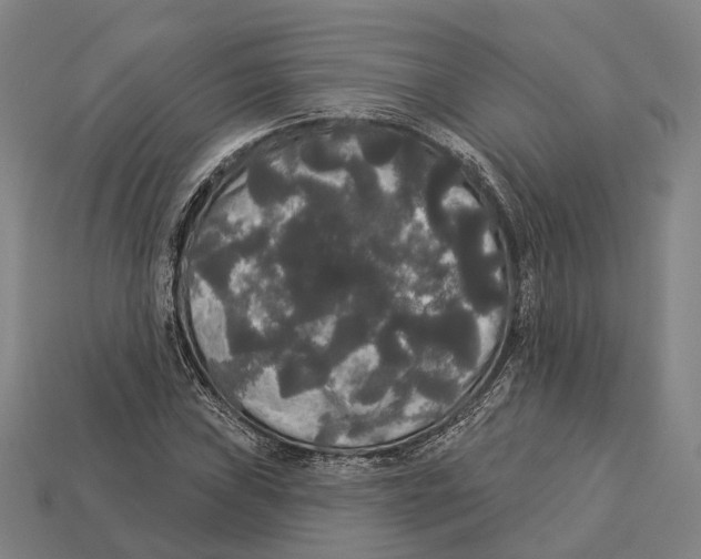 X0000113081019200909250945