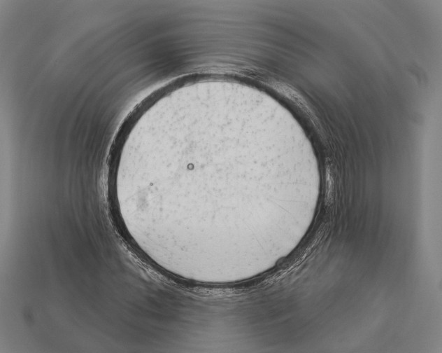 X0000113081020200909250945