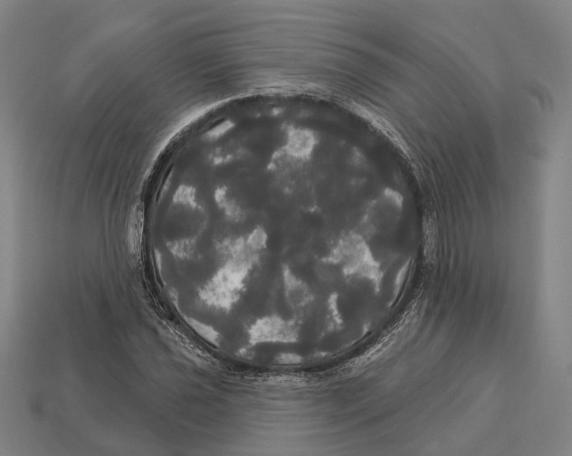X0000113081021200909250945