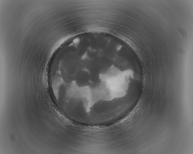 X0000113081022200909250945