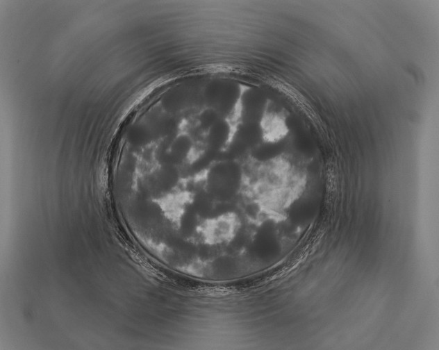 X0000113081023200909250945