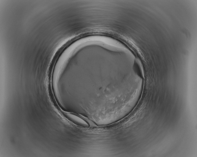 X0000113081024200909250945