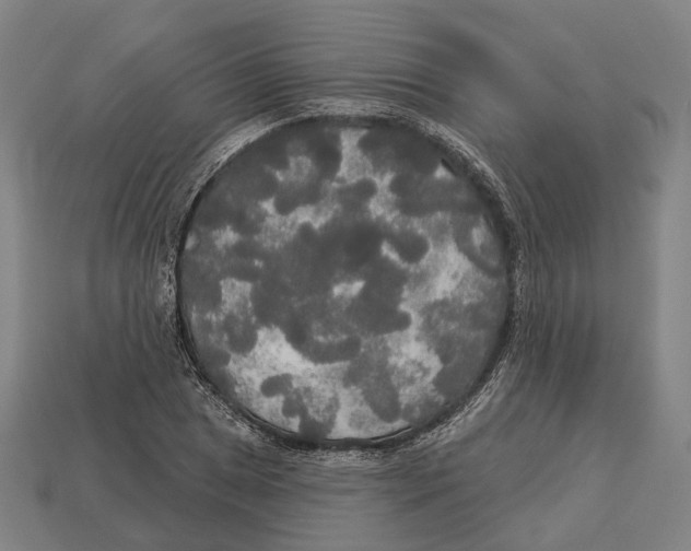 X0000113081025200909250945