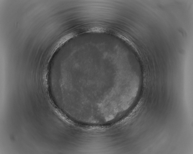 X0000113081026200909250945