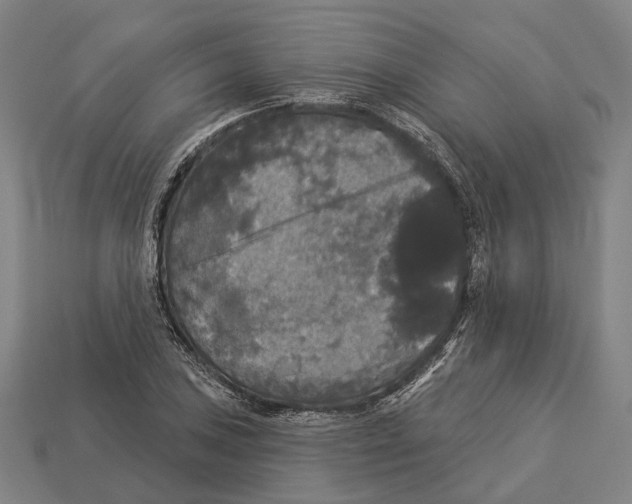 X0000113081027200909250945