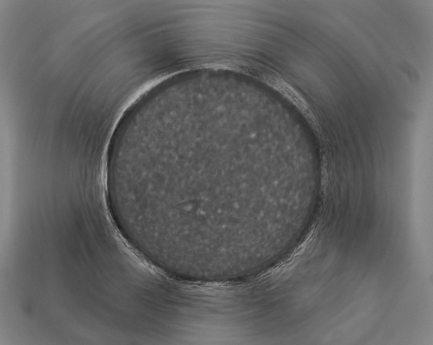 X0000113081028200909250945