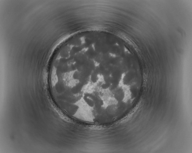 X0000113081029200909250945