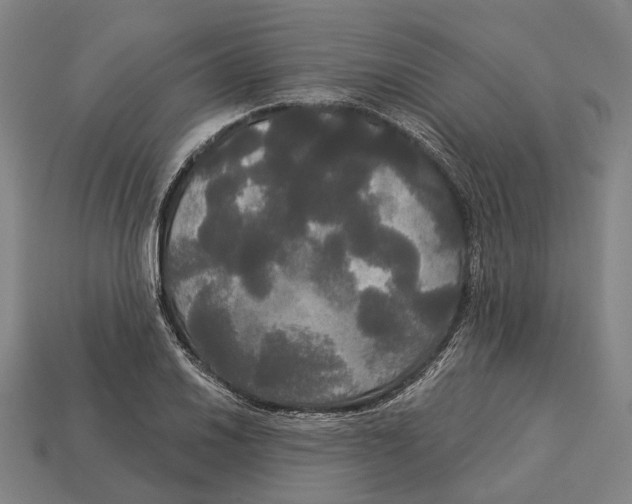 X0000113081030200909250945