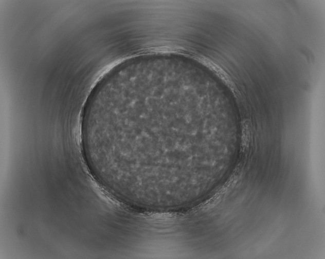 X0000113081031200909250945