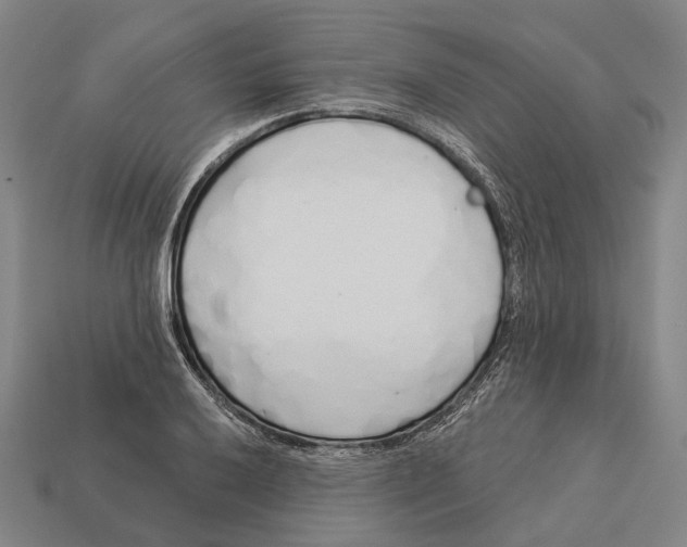 X0000113081032200909250945
