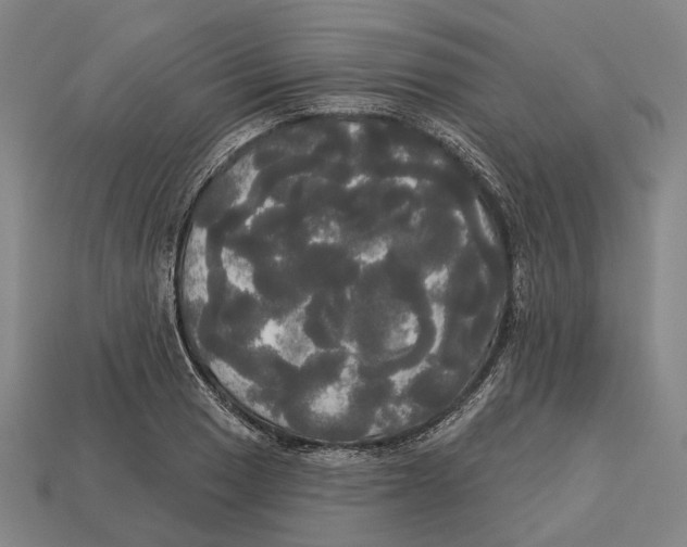 X0000113081033200909250945