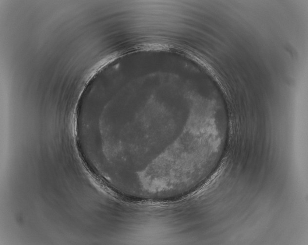 X0000113081034200909250945