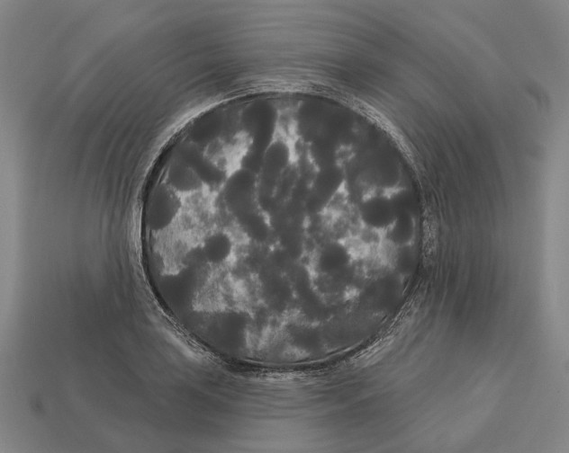 X0000113081035200909250945
