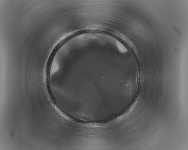 X0000113081037200909250945