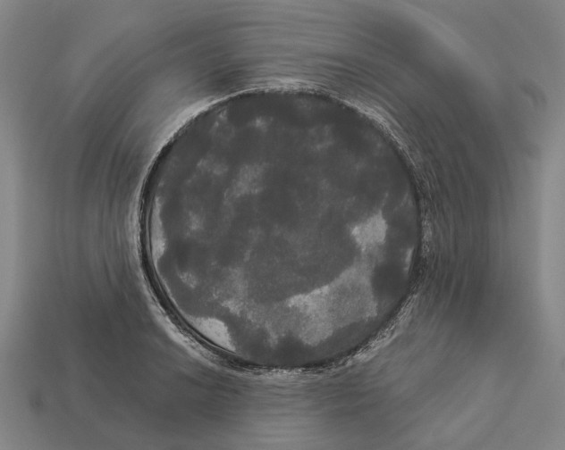 X0000113081038200909250945