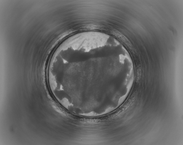 X0000113081039200909250945