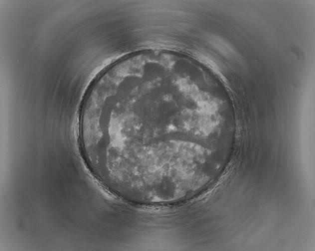 X0000113081040200909250945