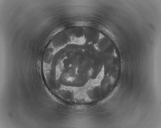 X0000113081041200909250945