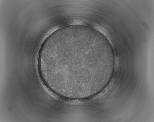 X0000113081042200909250945