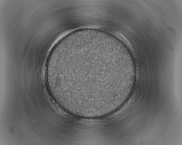 X0000113081044200909250945