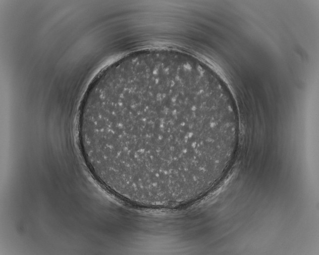 X0000113081045200909250945