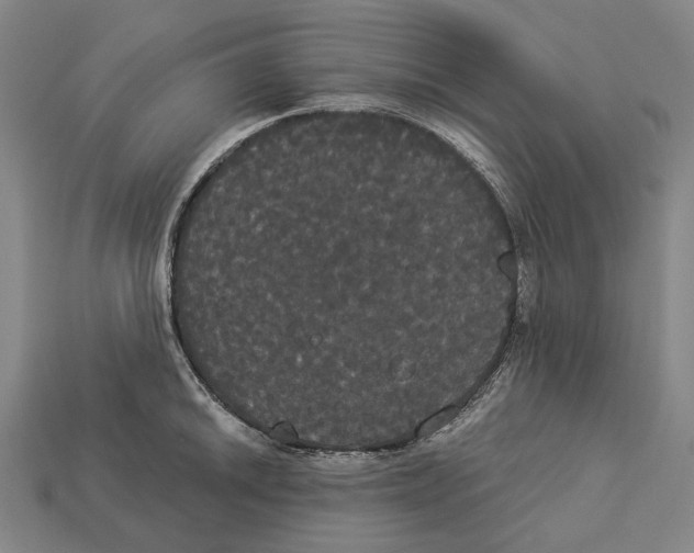 X0000113081046200909250945