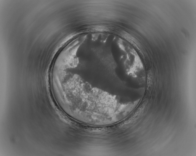 X0000113081047200909250945