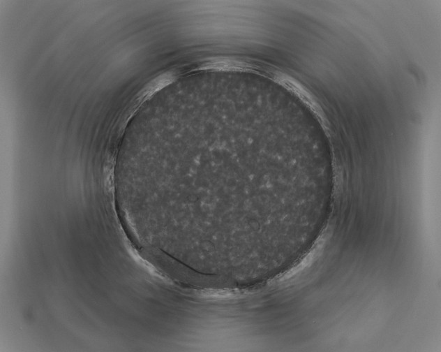 X0000113081049200909250945