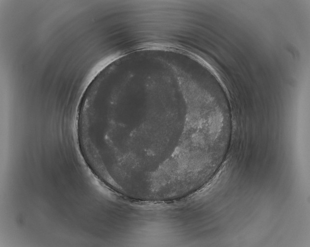 X0000113081050200909250945