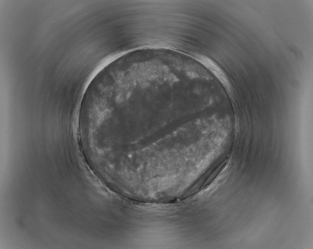X0000113081052200909250945