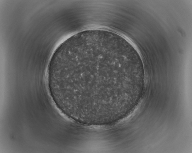 X0000113081053200909250945