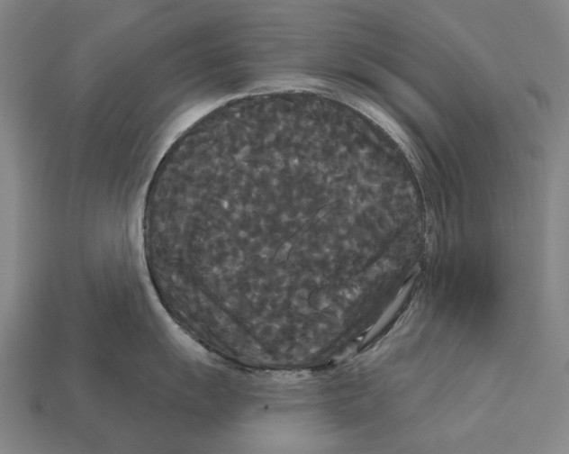 X0000113081055200909250945