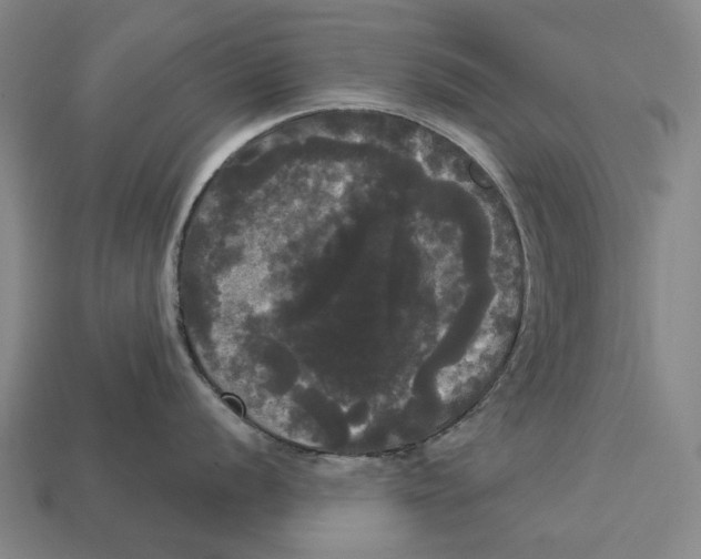 X0000113081056200909250945