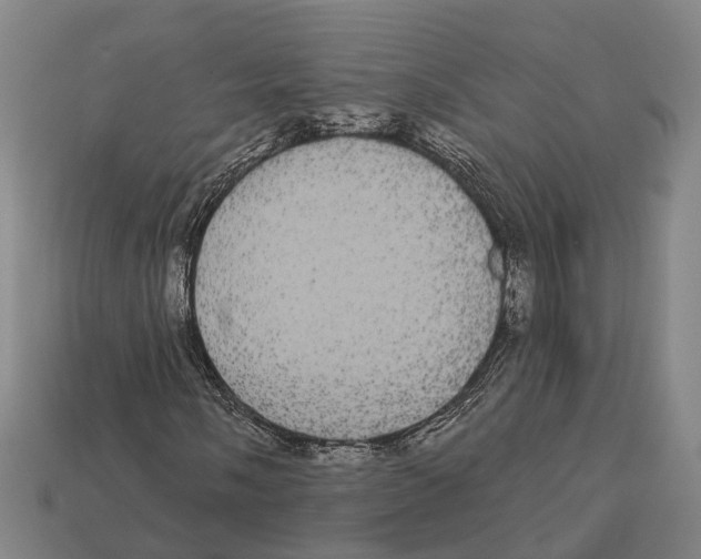 X0000113081058200909250945