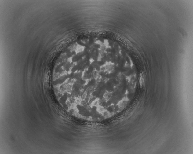 X0000113081059200909250945